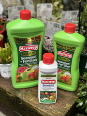 Maxicrop Seaweed Solution front packaging