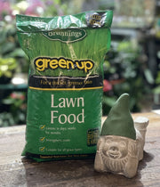 Green Up Lawn Food 2.5kg front packaging