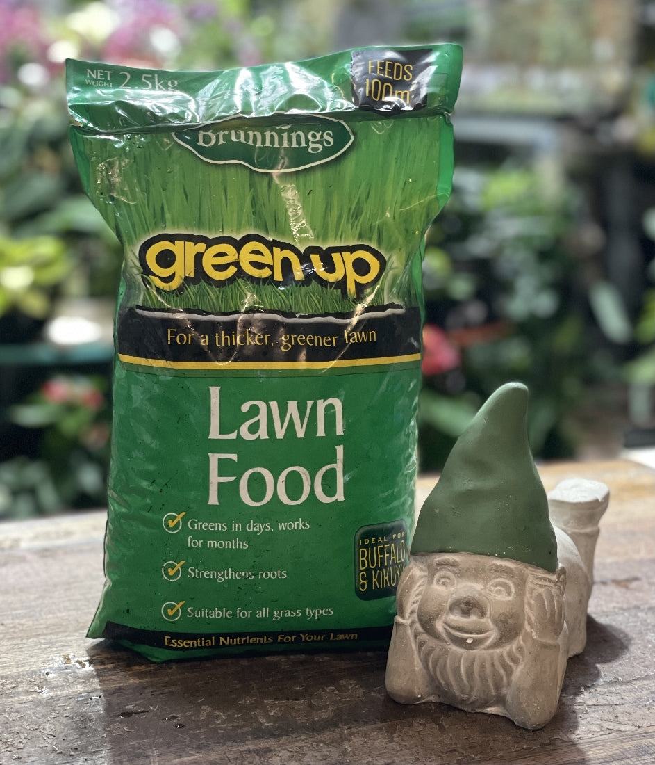 Green Up Lawn Food 2.5kg front packaging