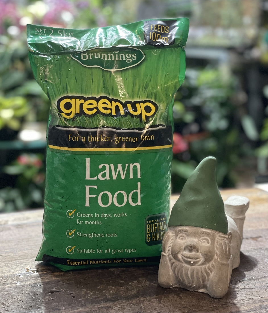 GREEN UP LAWN FOOD 2.5KG