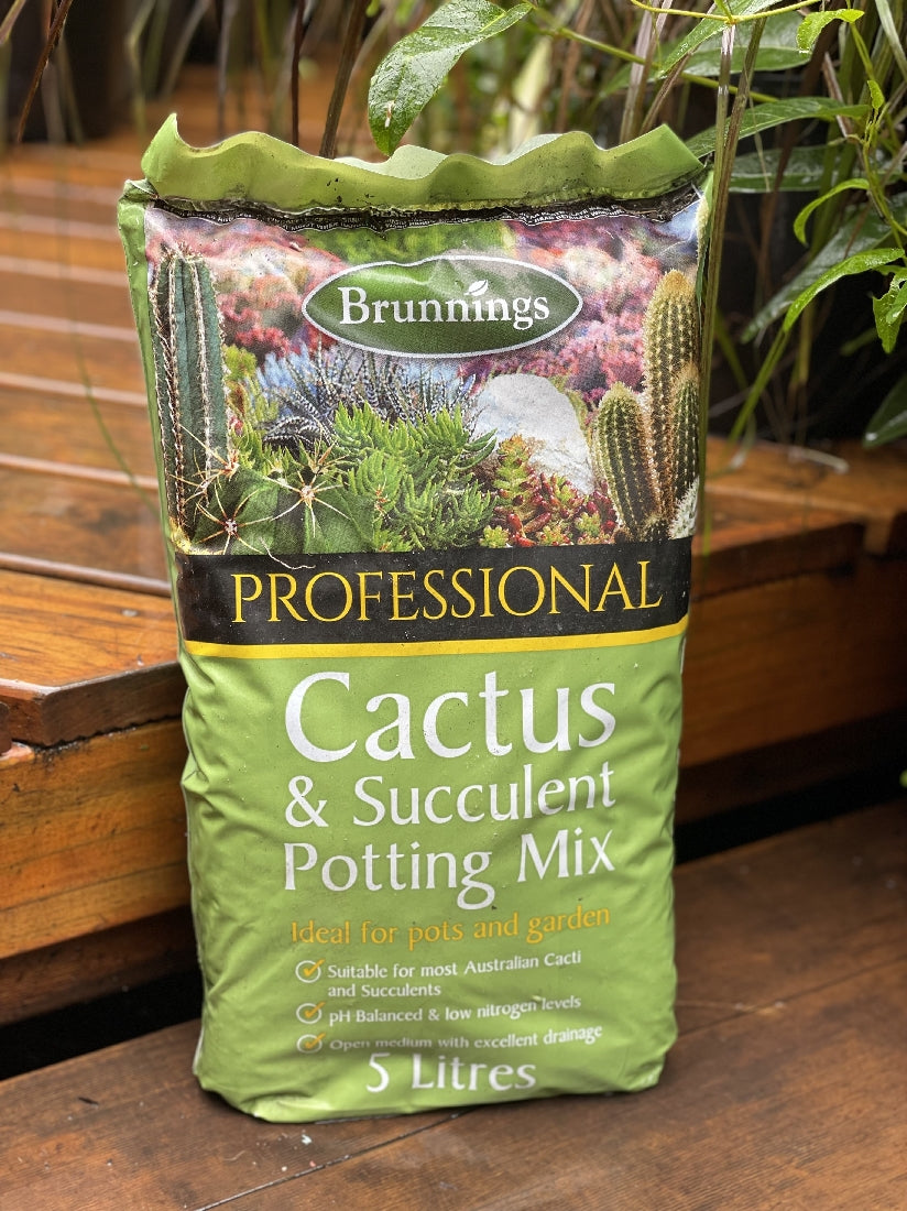 Brunnings Cactus & Succulent Mix 5L front packaging