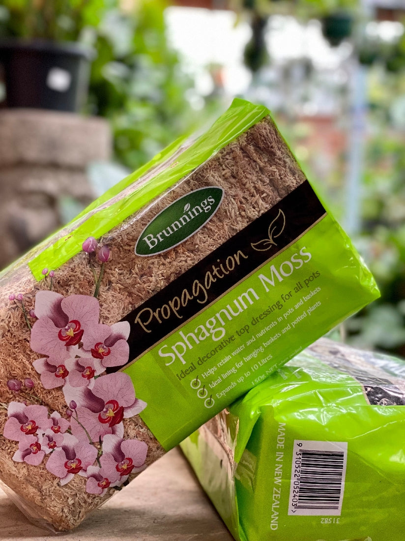Sphagnum Moss 150g bag front