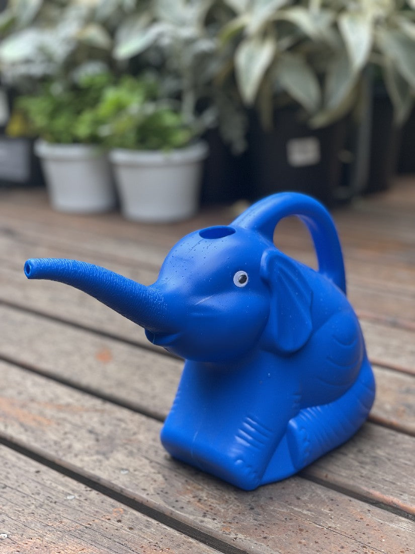 Kids Blue Elephant Watering Can available at Newtown Garden Market