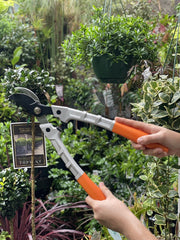 Aluminium Handle Lopper Bypass available at Newtown Garden Market