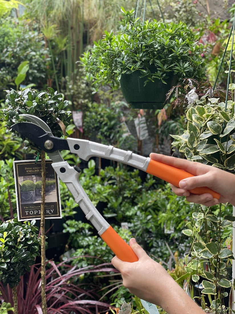 Aluminium Handle Lopper Bypass available at Newtown Garden Market