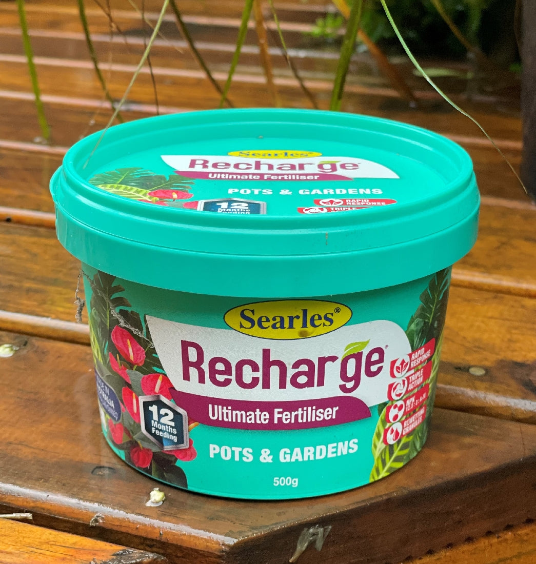 Searles Recharge 500g front packaging