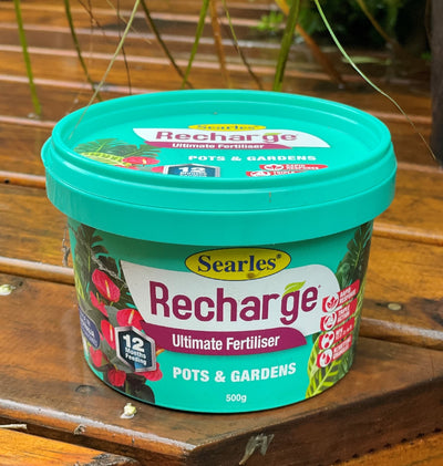 SEARLES RECHARGE 500G