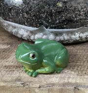 5.5cm Rainforest Frog available at Newtown Garden Market