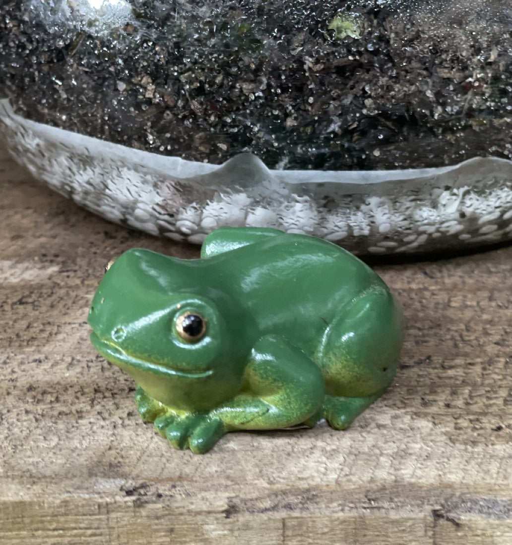 8cm Rainforest Frog available at Newtown Garden Market