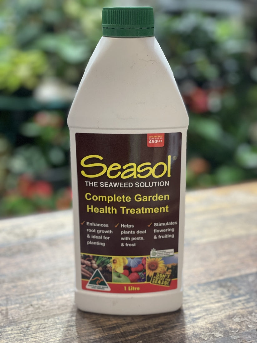 seasol for succulents Seasol Seaweed Solution