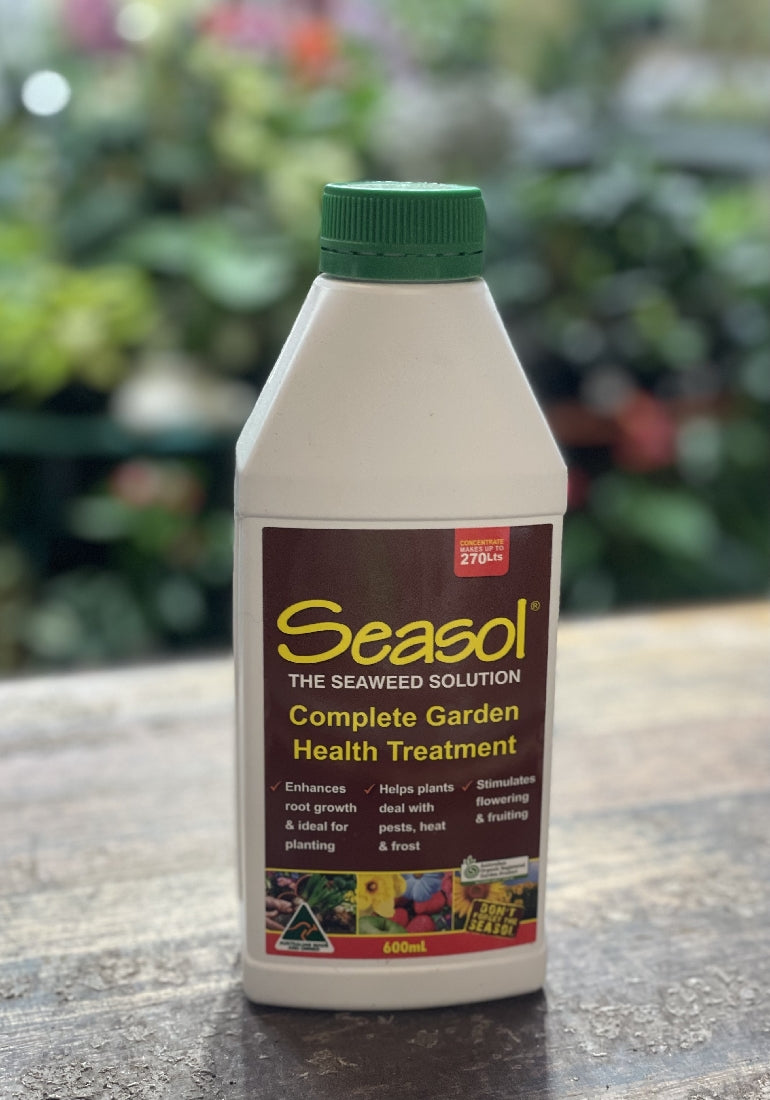 Seasol Seaweed Solution front packaging