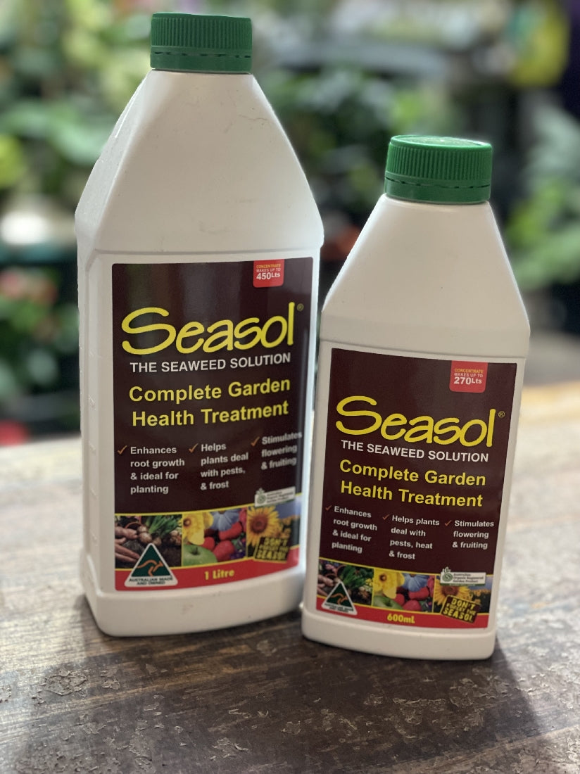 Seasol Seaweed Solution in use or application context