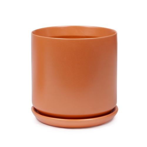 Cylinder Pot with Saucer 18cm styled with a plant in situ