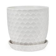 SHELL POT W/S WHITE