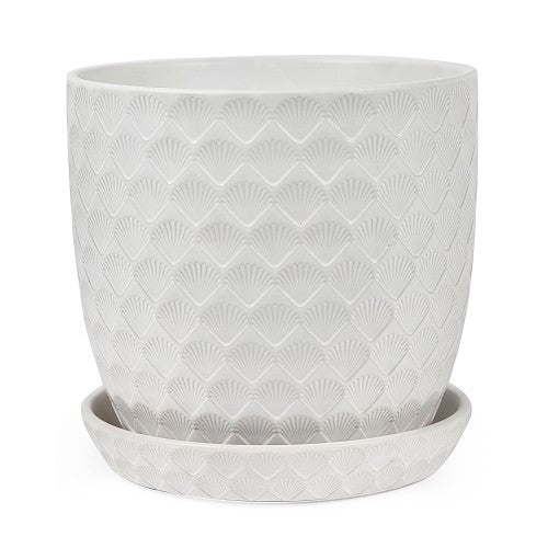 SHELL POT W/S WHITE