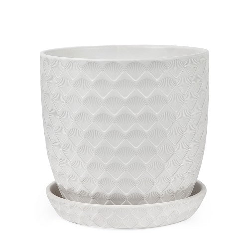 SHELL POT W/S WHITE