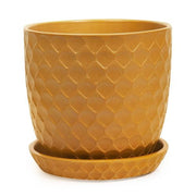 Shell Pot with Saucer -- Sunset front view