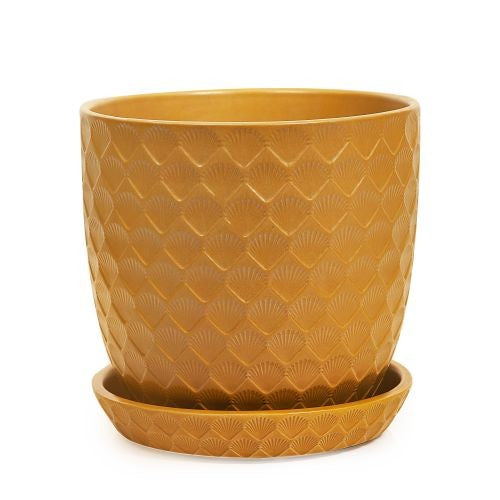Shell Pot with Saucer styled with a plant in situ
