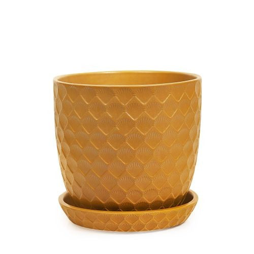 Shell Pot with Saucer additional angle or colour detail