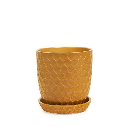 Shell Pot with Saucer detail view