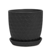 Shell Pot with Saucer -- Black front view