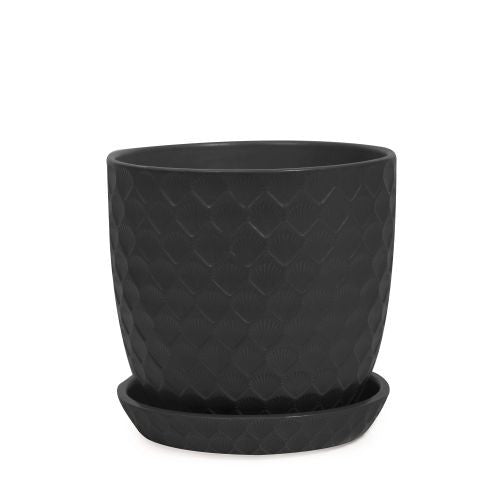 Shell Pot with Saucer styled with a plant in situ