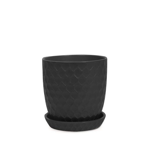 Shell Pot with Saucer detail view
