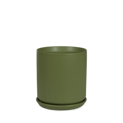 Cylinder Pot with Saucer 15cm styled with a plant in situ