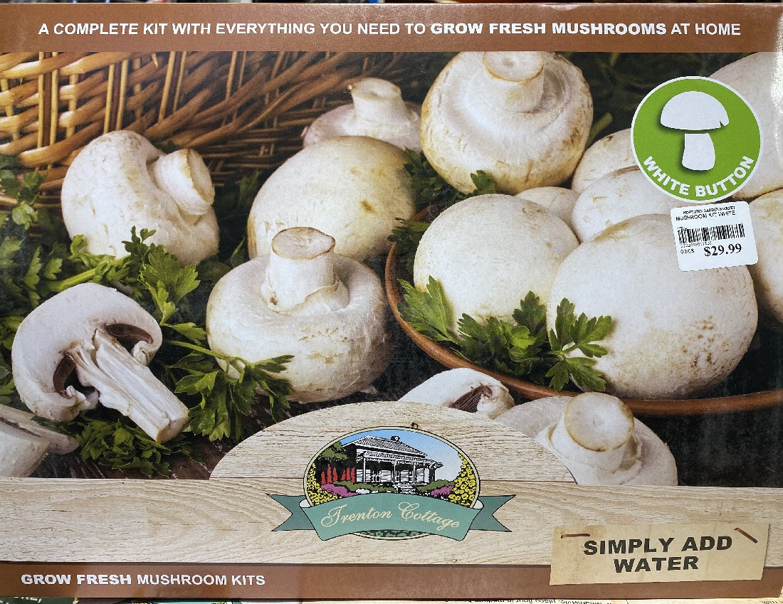 White Mushroom Growing Kit box front packaging on white background