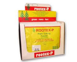 Rootex Powder 18Gm available at Newtown Garden Market