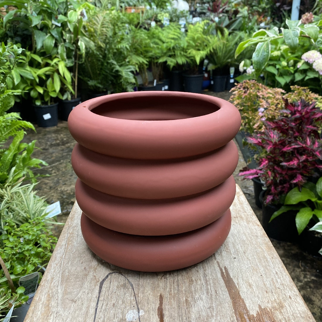 Danica Pot with Saucer 16cm styled with a plant in situ