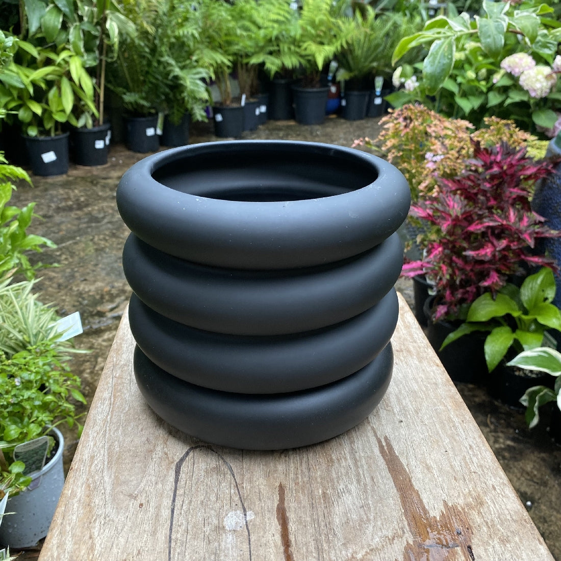 Danica Pot with Saucer 16cm additional angle or colour detail