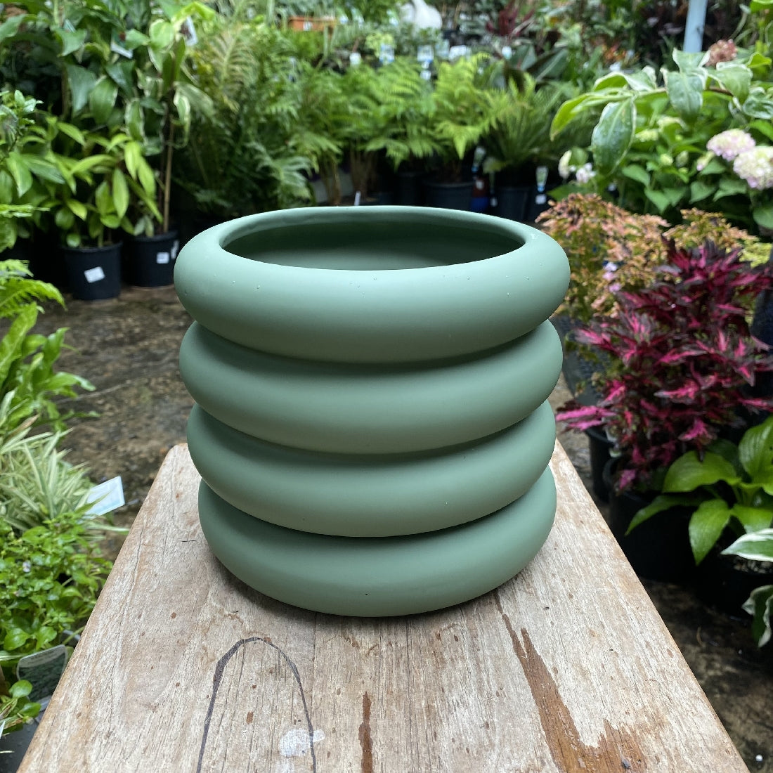 Danica Pot with Saucer 16cm front view