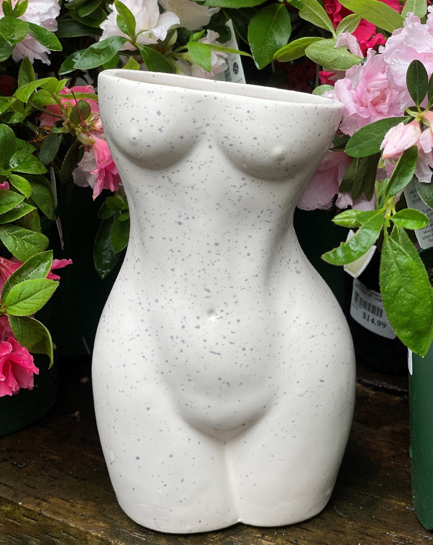 Body Vase side profile or detail view