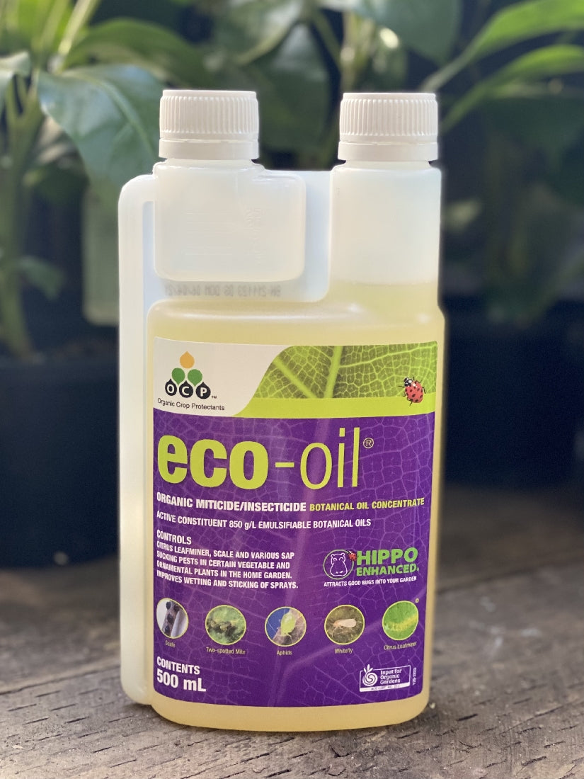 Eco-organic Oil Concentrate front bottle label