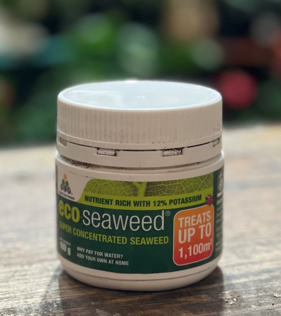 Eco Cweed Concentrate front bottle label