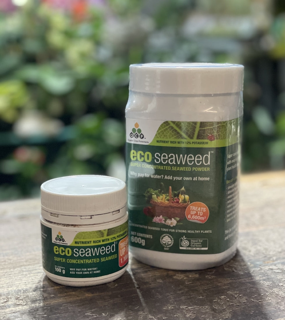 Eco Cweed Concentrate back label showing active ingredients