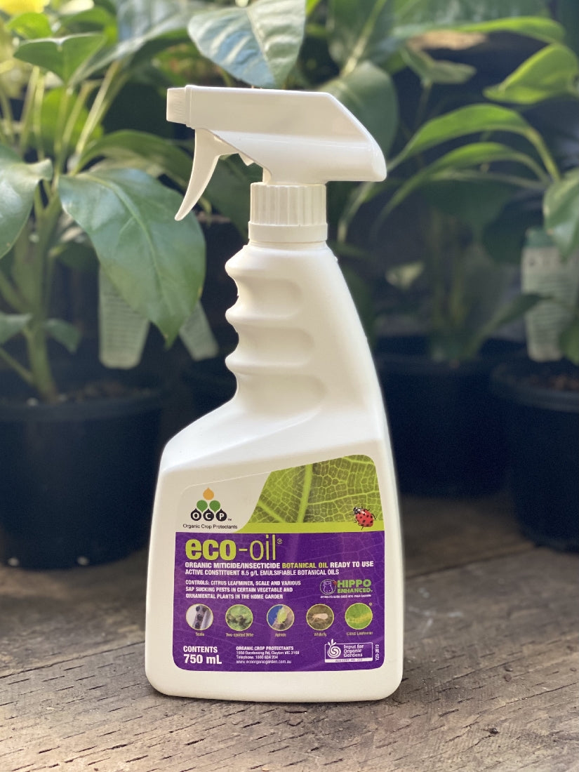 Eco-organic Oil RTU 750ml front bottle label