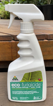 Eco-organic Fungicide RTU 750ml front bottle label