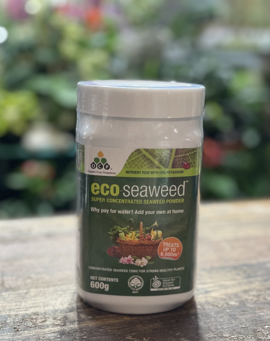 Eco Cweed Concentrate back label showing active ingredients