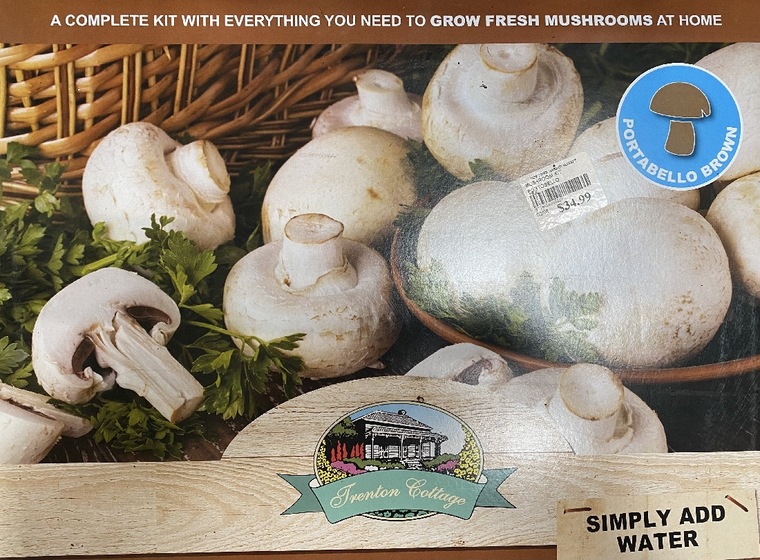 Portobello Mushroom Growing Kit box front packaging on white background