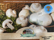 Portobello Mushroom Growing Kit box front packaging on white background