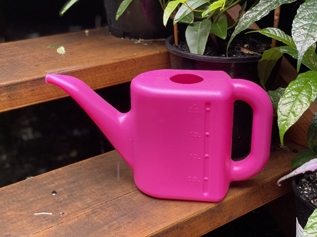 WATERING CAN 2LTR