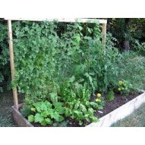 Compostable Pea & Bean Netting front view