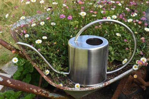 RYSET 1.5L STAINLESS WATERING CAN
