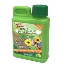 PYRETHRUM CONCENTRATE 250ML