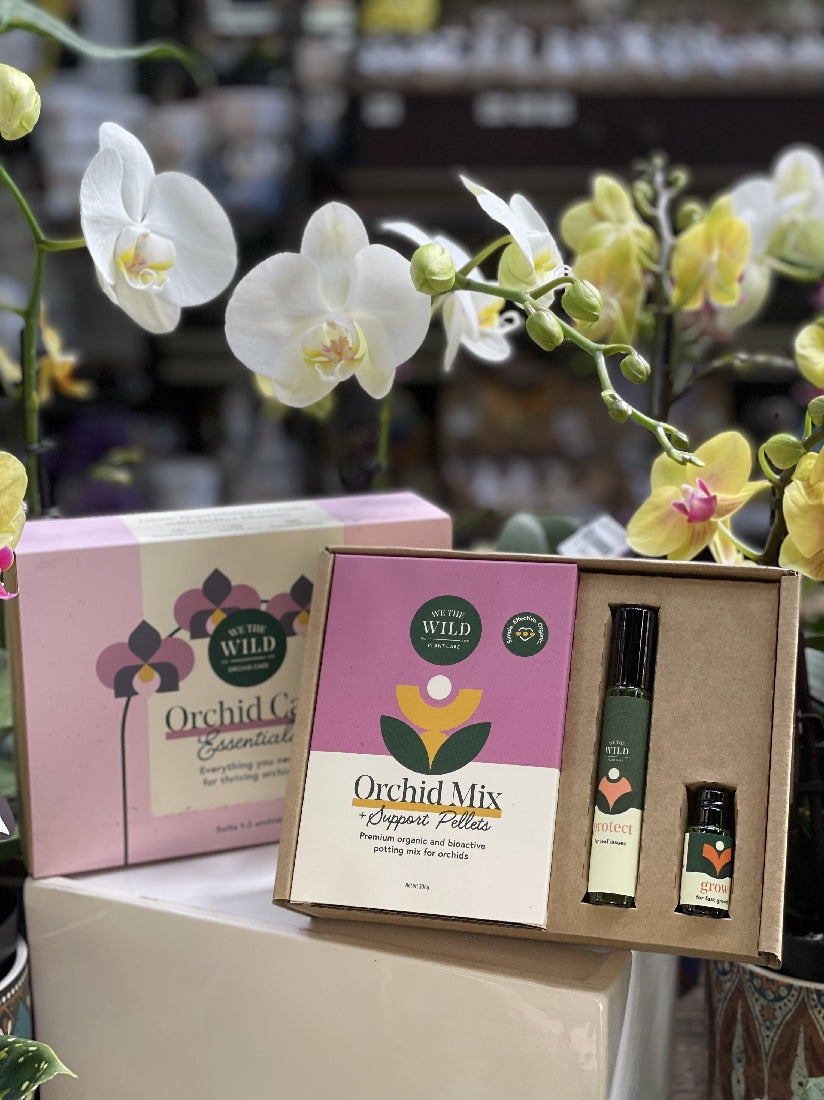 WE THE WILD ORCHID CARE KIT