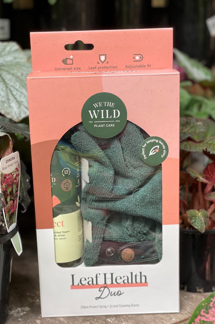 We The Wild Leaf Health Duo front packaging and label
