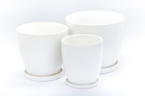 Tulip Pot with Saucer 38cm styled with a plant in situ