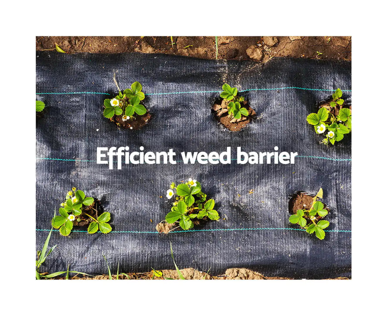 Weed Fabric 35gsm 10Mx1M detail view